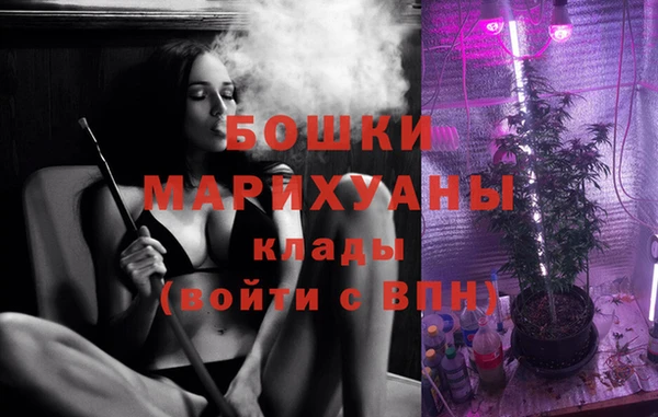 MESCALINE Аркадак
