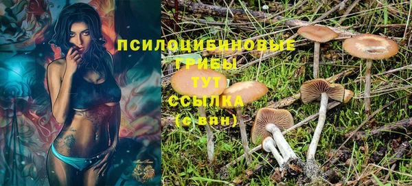 2c-b Арсеньев