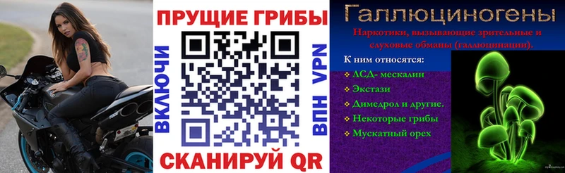 Псилоцибиновые грибы GOLDEN TEACHER  Малая Вишера 